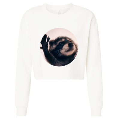Raccoon Pedro Meme Vibing On Song Cropped Pullover Crew