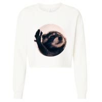 Raccoon Pedro Meme Vibing On Song Cropped Pullover Crew