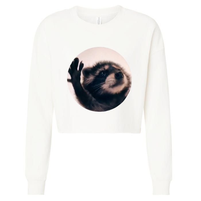 Raccoon Pedro Meme Vibing On Song Cropped Pullover Crew