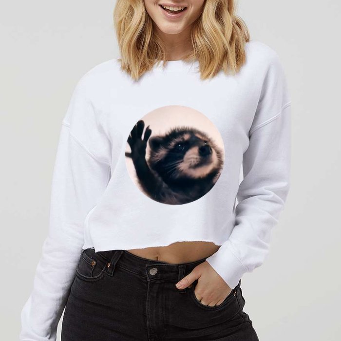 Raccoon Pedro Meme Vibing On Song Cropped Pullover Crew