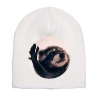 Raccoon Pedro Meme Vibing On Song Short Acrylic Beanie
