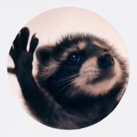Raccoon Pedro Meme Vibing On Song Short Acrylic Beanie