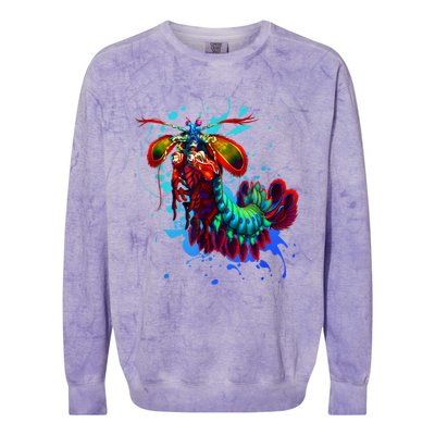 Rainbow Peacock Mantis Shrimp Blue Splash Colorblast Crewneck Sweatshirt