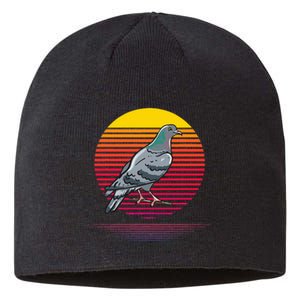 Retro Pigeon Owner Lover Gifts Pigeon Love Gift Sustainable Beanie