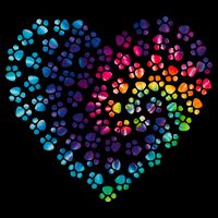 Rainbow Paw Print Heart Dog Lover 16 in Basic Backpack