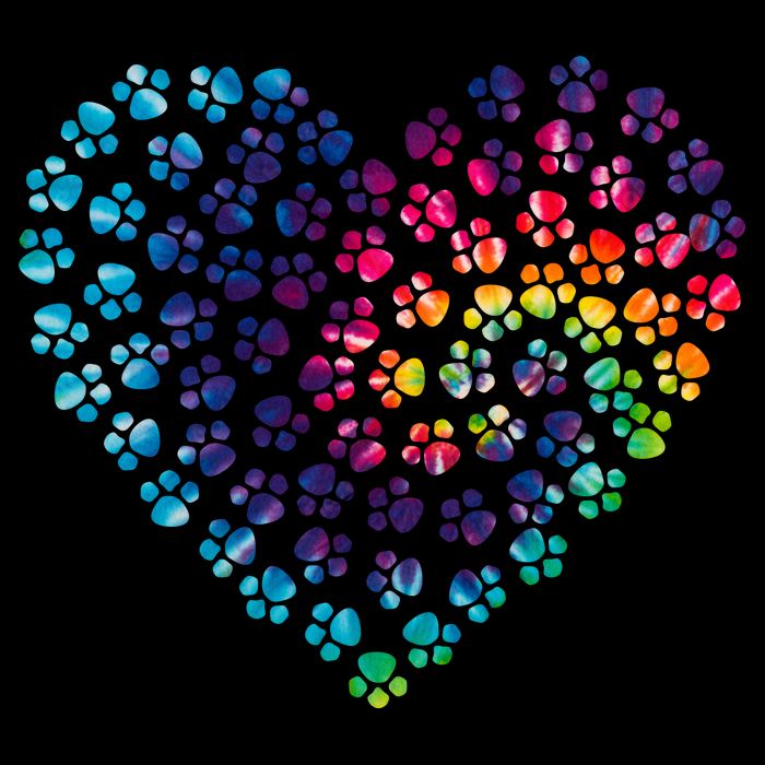 Rainbow Paw Print Heart Dog Lover 16 in Basic Backpack