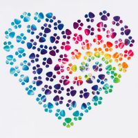 Rainbow Paw Print Heart Dog Lover Flatbill Hat