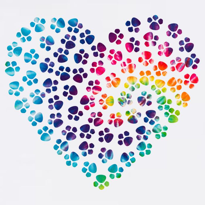 Rainbow Paw Print Heart Dog Lover Flatbill Hat