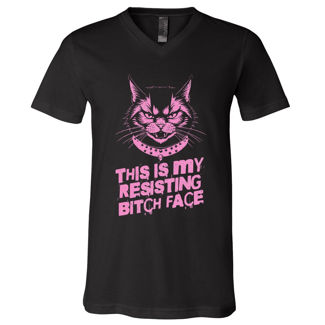 Resist Political Protest Cat .Png V-Neck T-Shirt