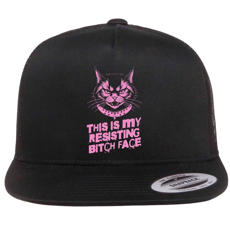 Resist Political Protest Cat .Png Flat Bill Trucker Hat