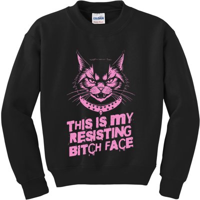 Resist Political Protest Cat .Png Kids Sweatshirt