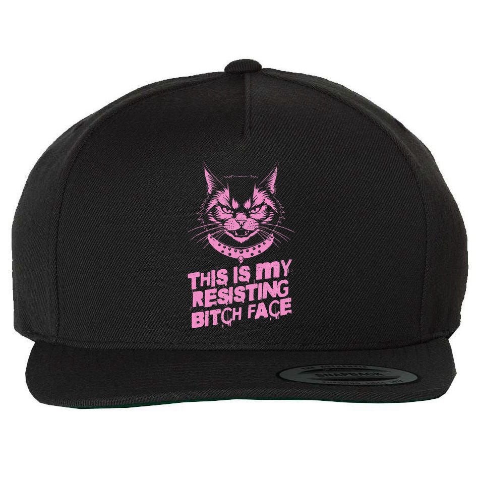 Resist Political Protest Cat .Png Wool Snapback Cap