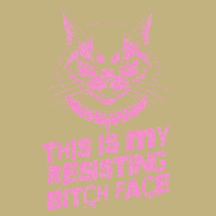 Resist Political Protest Cat .Png Button