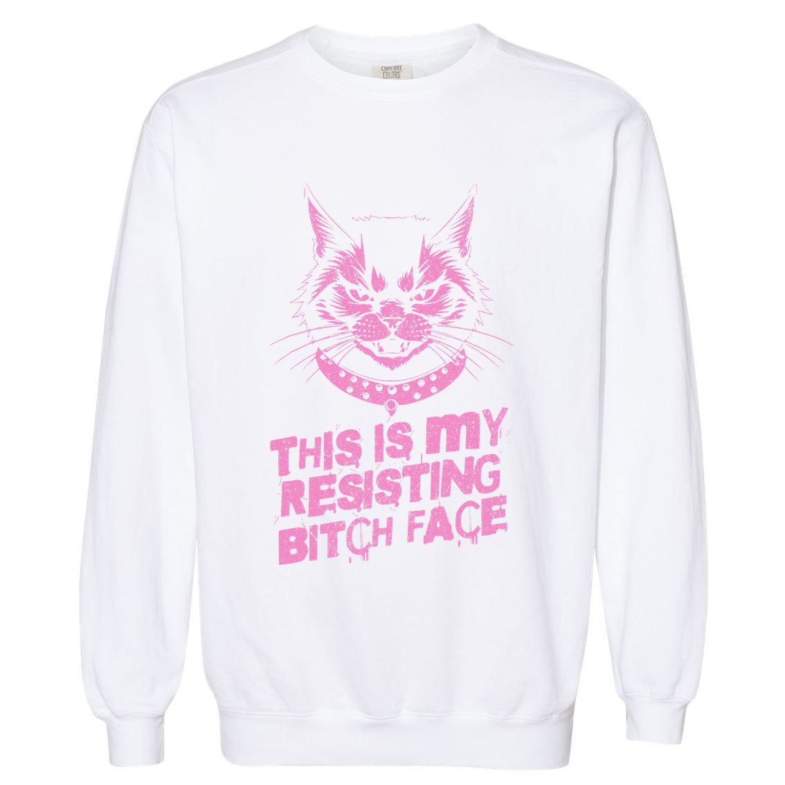 Resist Political Protest Cat .Png Garment-Dyed Sweatshirt