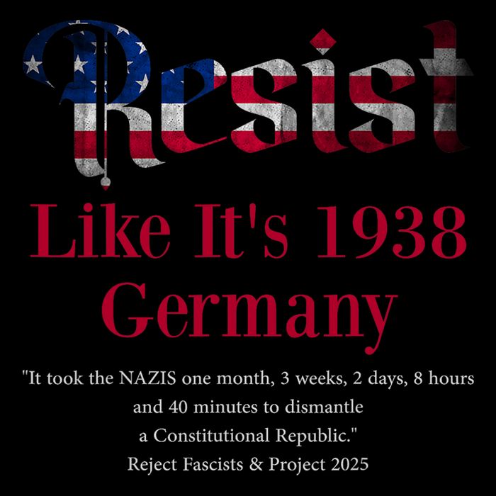 Resist Pritker Quote Germany 1938 Reject Fascism And Project Flat Bill Trucker Hat