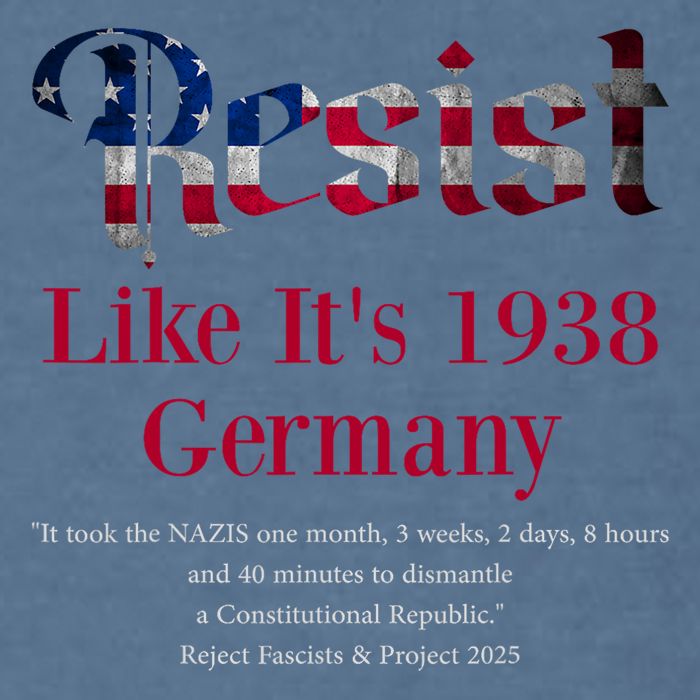 Resist Pritker Quote Germany 1938 Reject Fascism And Project Garment-Dyed Sweatshirt