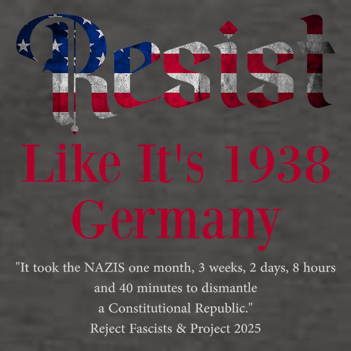 Resist Pritker Quote Germany 1938 Reject Fascism And Project Vector Backpack