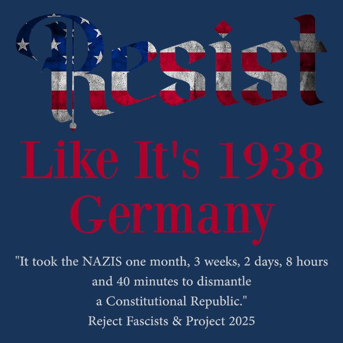 Resist Pritker Quote Germany 1938 Reject Fascism And Project Infant Baby Jersey Bodysuit