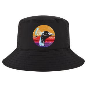 Retro Peacock Cool Comfort Performance Bucket Hat