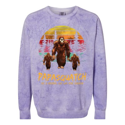 Retro Papa Squatch Like A Grandpa Funny Bigfoot Sasquatch Colorblast Crewneck Sweatshirt