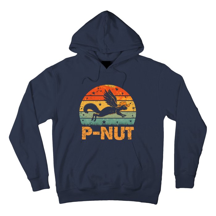 Retro Peanut Squirrel Justice For Peanut Vintage Retro Sunset Hoodie