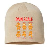 Retro Pain Scale Gingerbread Trauma Nurse Nursing Sustainable Beanie