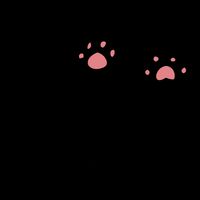 Rock Paper Scissors Cat Paws 16oz Travel Tumbler