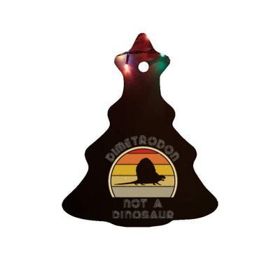 Retro Paleontology Stuff For Adults Dimetrodon Dinosaur Fact Ceramic Tree Ornament