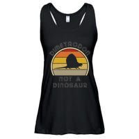 Retro Paleontology Stuff For Adults Dimetrodon Dinosaur Fact Ladies Essential Flowy Tank