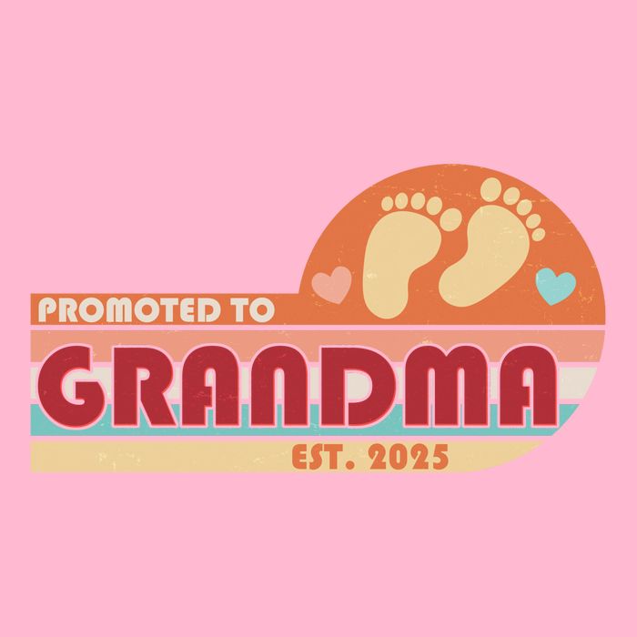 Retro Promoted To Grandma Established 2025 V-Neck T-Shirt