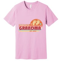 Retro Promoted To Grandma Established 2025 Premium T-Shirt
