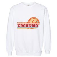 Retro Promoted To Grandma Established 2025 Garment-Dyed Sweatshirt