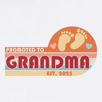 Retro Promoted To Grandma Established 2025 Garment-Dyed Sweatshirt