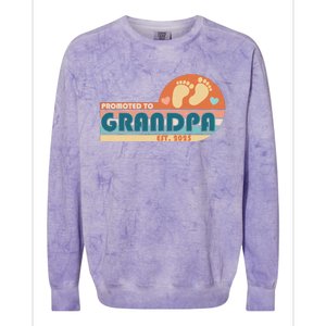 Retro Promoted To Grandpa Established 2025 Colorblast Crewneck Sweatshirt