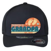 Retro Promoted To Grandpa Established 2025 Flexfit Unipanel Trucker Cap
