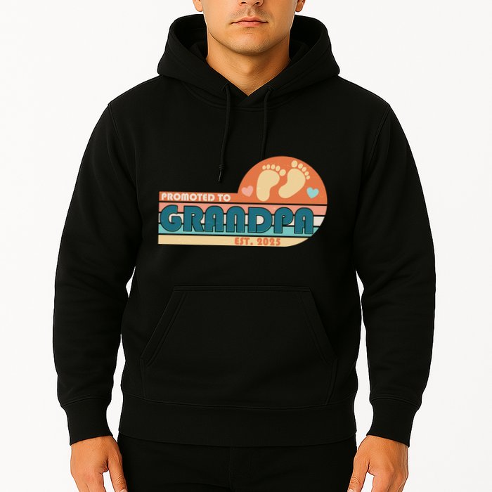 Retro Promoted To Grandpa Established 2025 Hoodie