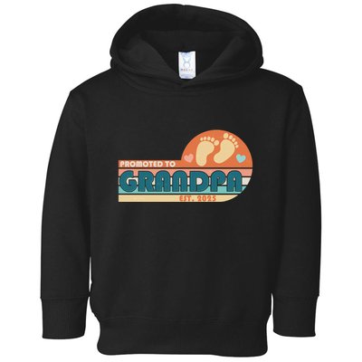 Retro Promoted To Grandpa Established 2025 Toddler Hoodie