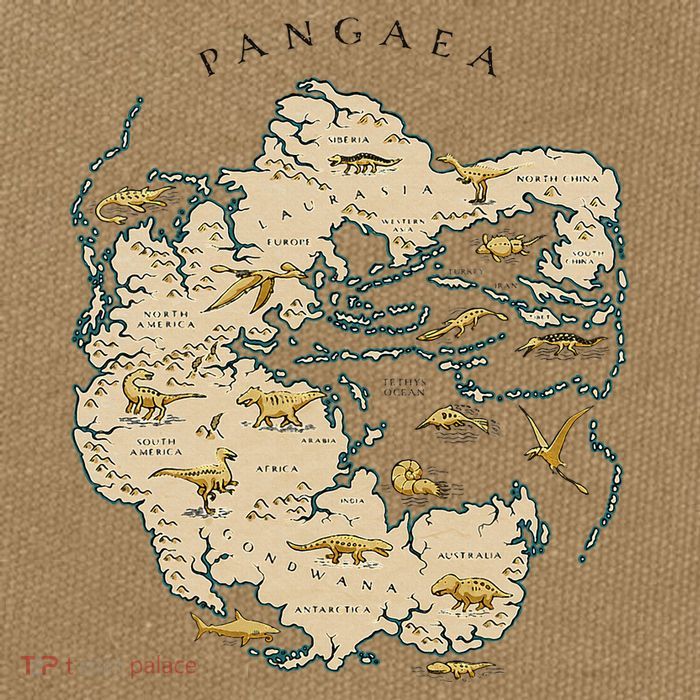 Reunite Pangaea World Map History Geology Earth Geologist Cotton Canvas Backpack