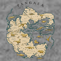 Reunite Pangaea World Map History Geology Earth Geologist Tall Hoodie