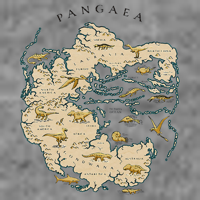 Reunite Pangaea World Map History Geology Earth Geologist Tall Hoodie