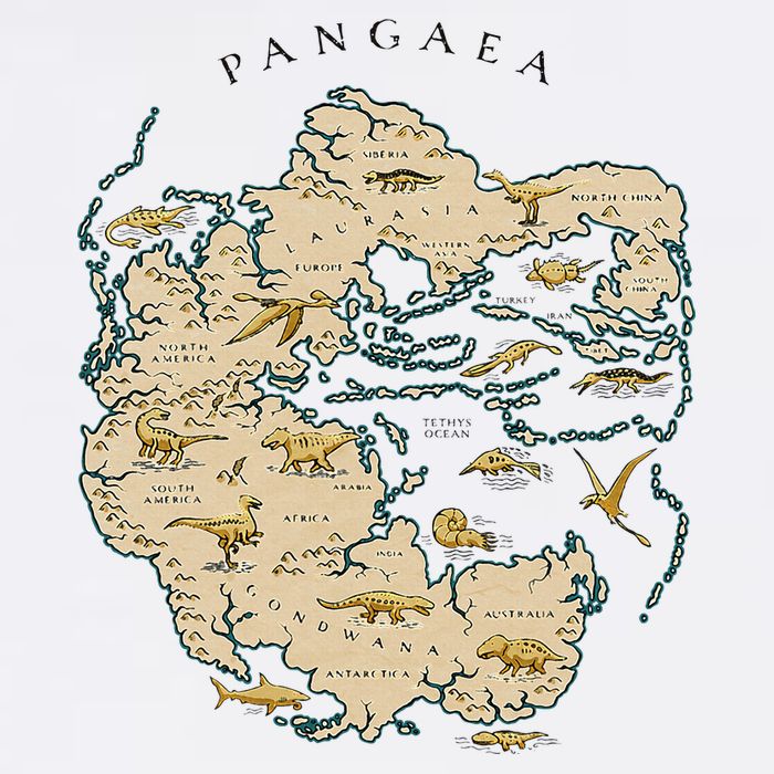 Reunite Pangaea World Map History Geology Earth Geologist Garment-Dyed Sweatshirt