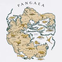 Reunite Pangaea World Map History Geology Earth Geologist Short Acrylic Beanie