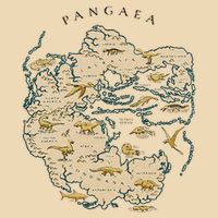Reunite Pangaea World Map History Geology Earth Geologist Zip Tote Bag