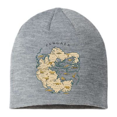 Reunite Pangaea World Map History Geology Earth Geologist Sustainable Beanie