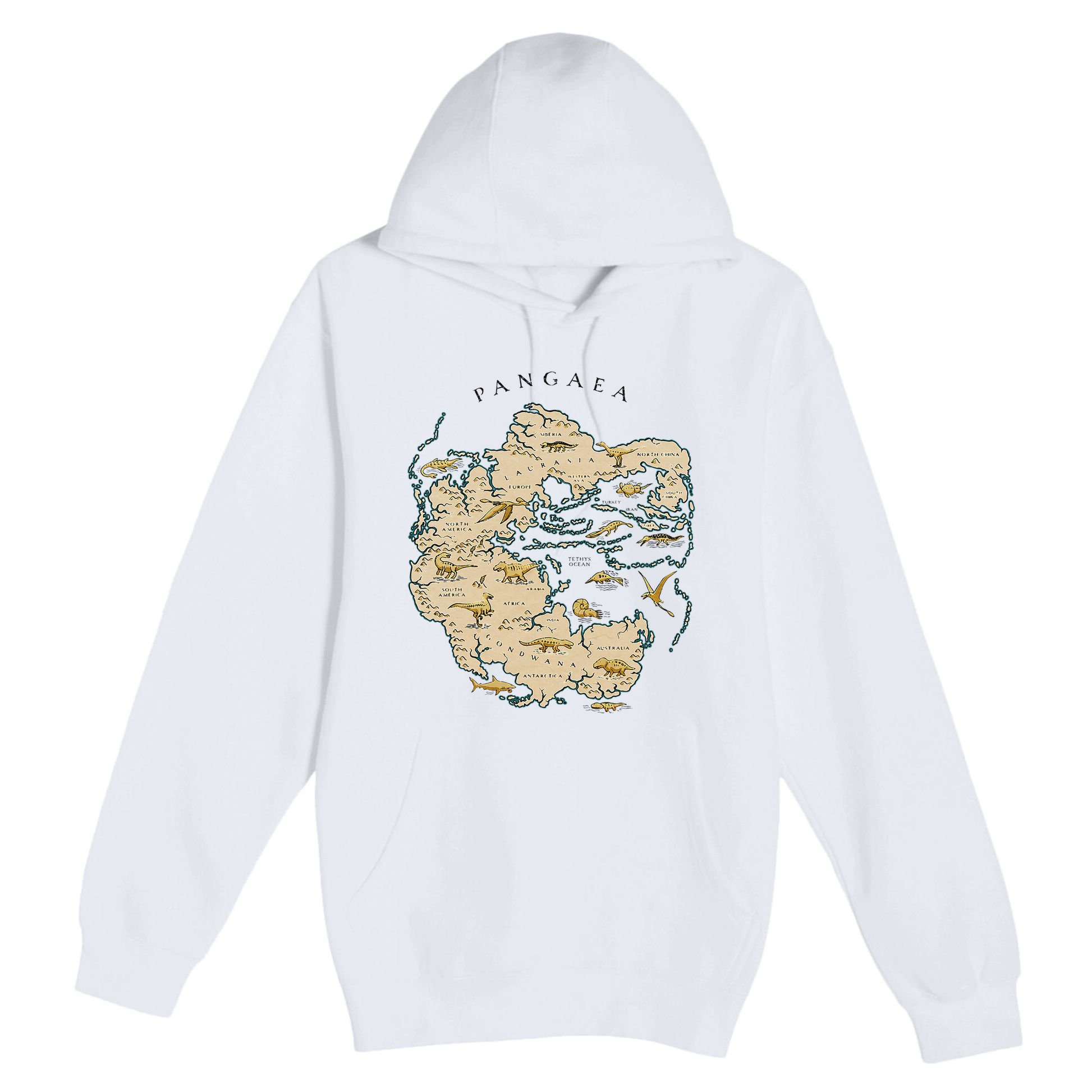 Reunite Pangaea World Map History Geology Earth Geologist Premium Pullover Hoodie