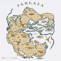 Reunite Pangaea World Map History Geology Earth Geologist Tank Top