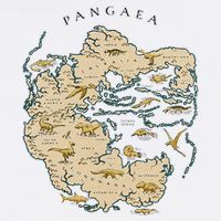 Reunite Pangaea World Map History Geology Earth Geologist Golf Towel