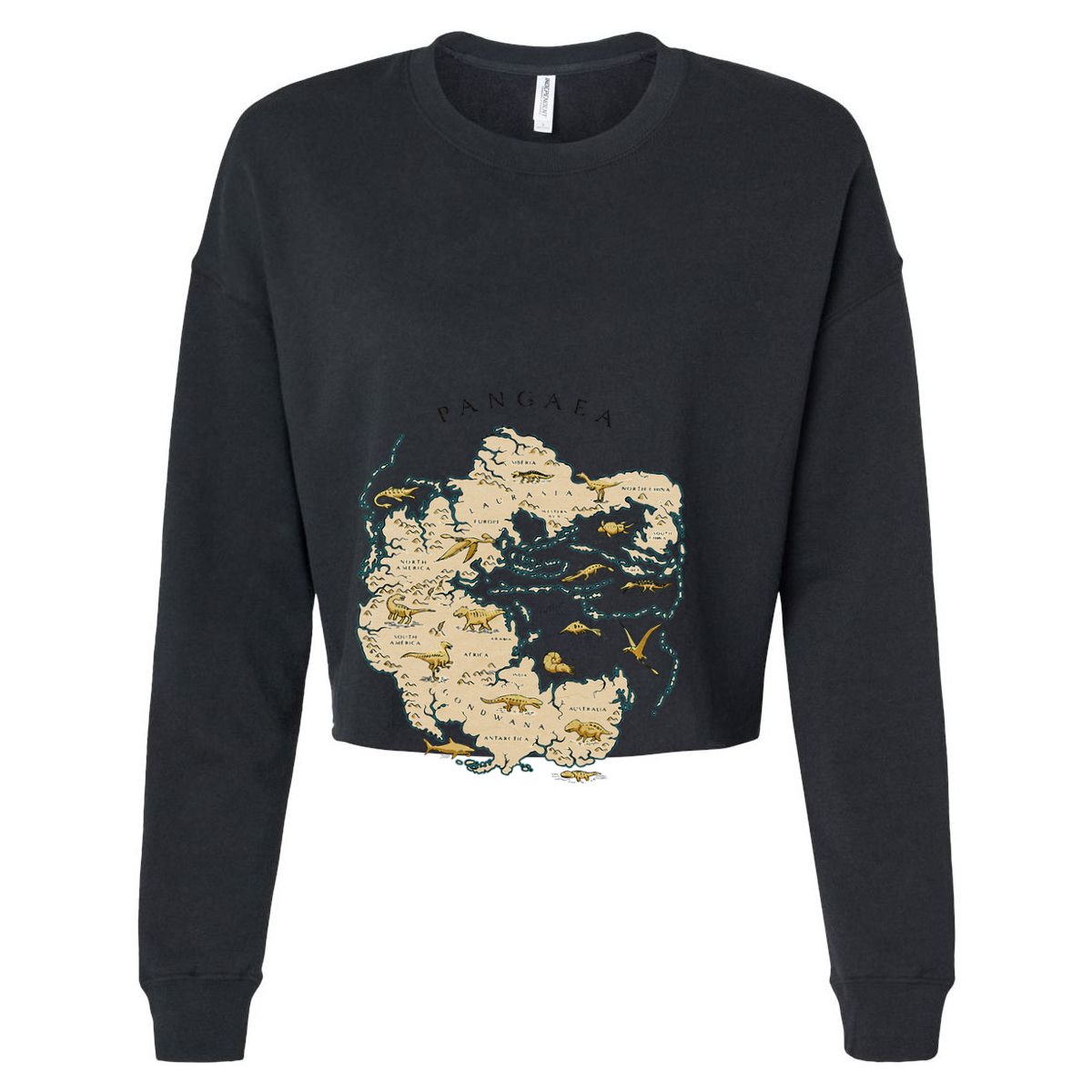 Reunite Pangaea World Map History Geology Earth Geologist Women's Crop Top Tee