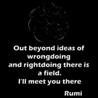 Rumi QuotesPoemsArt Womens T-Shirt