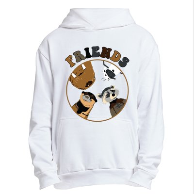 Rocket Raccoon And Friends Urban Pullover Hoodie